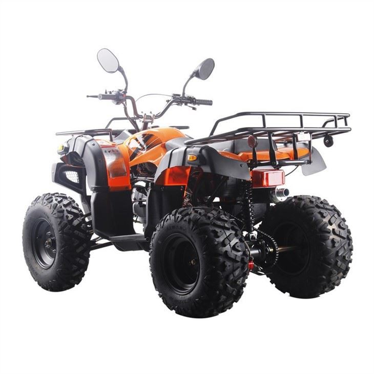 250cc atv quad (3)
